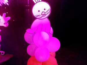 birthday_party_catering_yash